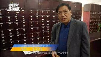 中医高手爆料视频,传承千年养生智慧
